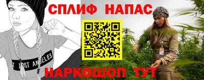 спиды Гусев