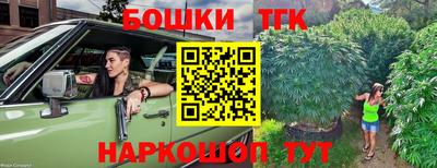 спиды Гусев