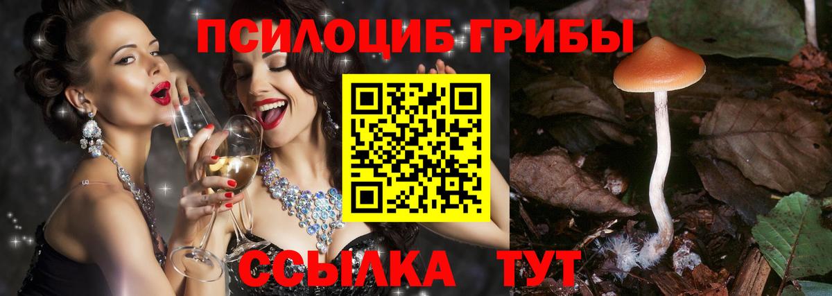 Лыткарино  Галлюциногенные грибы Cubensis  закладка  Вход с VPN 